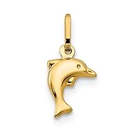 14k Yellow Gold Polished Small Hollow Dolphin Charm Pendant Necklace Jewelry for Women