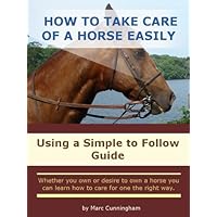 How To Take Care Of a Horse Easily
