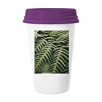 Leaves Plant Photography Picture Nature Coffee Mug Glass Pottery Ceramic Cup Lid Gift