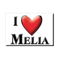 Melia Magnet Magnetic Names Gift Idea Birthday Graduation Birth Valentine's Day