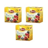 Black Tea - Forest Fruit - Premium Pyramid Tea Bags (20 Count Box) [Pack of 3] Imported