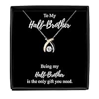 Being My Half-brother Necklace Funny Present Idea Is The Only Gift You Need Sarcastic Joke Pendant Gag Sterling Silver Chain With Box