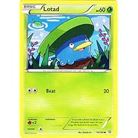 Pokemon - Lotad (10/160) - XY Primal Clash
