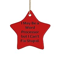 I May Be a Word Processor but I Can't Fix Stupid. Word Processor Star Ornament, Unique Idea Word Processor Gifts, for Friends