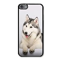 ipod touch6 Protective Cases,DIY Husky 110 Hard Plactic