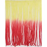 Tie-Dye Ombre Multicolor Chainette Thread Yarn Tonal Loop Fringe- 7