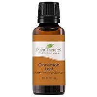 Plant Therapy Cinnamon Leaf Essential Oil 30 mL (1 oz) 100% Pure, Undiluted, Therapeutic Grade