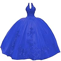 2024 Modest Red Prom Formal Dresses Ball Gown Unique Halter Neck Designer 3D Floral Flowers with Train Tulle Crystal