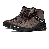 Salewa Men's Alp Trainer 2 Gore-Tex Hiking Boots, 48.5 EU