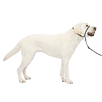 PetSafe Gentle Leader No-Pull Dog Headcollar - The Ultimate Solution to Pulling - Redirects Your Dog's Pulling for Easier Walks - Helps You Regain Control - Large, Charcoal