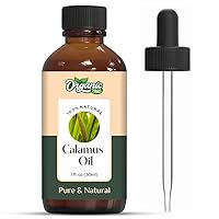 Calamus (Acorus Calamus) Oil | Pure & Natural Essential Oil for Skincare, Hair Care, Aroma & Diffusers - 30ml/1.01fl oz