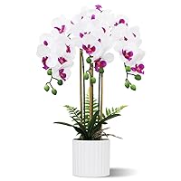 Olrla Artificial Orchid Flower 3 Branches Arrangement in White Pot, White and Purple Fake Phalaenopsis Flower for Home Office Hotel Decor, Tabletop Centerpieces