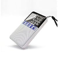 Hi-Rice Portable Mini Digital Media Speaker with FM Radio USB Micro SD Slot Clock Display for iPhone/iPad/iPod / MP3 Player/Laptop/Tablets (Silver) …