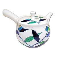 Japanese Teapot Ceramic Kyusu 15.6 fl oz Arita Imari ware Made in Japan Porcelain Tea pot for Green Tea Hanakikou tsuyukusa