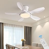 Eurotondisplay SX020-122 Ceiling Fan with LED Lighting with Remote Control Light Colour / Brightness Adjustable 6 Speeds Timer 2 Hours Summer and Winter Mode 54 W