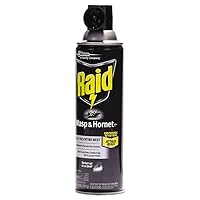 Raid Wasp and Hornet Killer Spray, Kills the entire nest, Kills Paper Wasps, Yellow Jackets, Mud Daubers and more, 14 oz (Pack of 12)