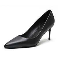 Women Stiletto Wedding High Heels Pumps Office Special Dressy Pointed-Toe Fashion Matte Pump Shoes