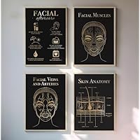 NATVVA 4 Pieces Facial Canvas Art Prints Facial Aftercare Poster Painting Wall Pictures Skin Anatomy Artwork for Beauty Clinic Dermatology Decor with Wooden Inner Frame