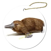 Platypus Christmas Ornament Porcelain Double-Sided Ceramic Ornament,3 Inches