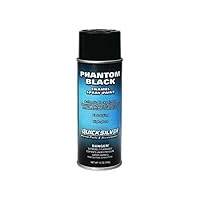 Mercury/Quicksilver Parts Paint Phantom Black 92-802878Q 1