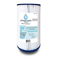 42 Sq Foot Hot Springs Freeflow Spa Replacement Filter-303279, White