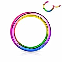 Hinged Seamless WildKlass Jewely Septum Clicker Ring 316L Surgical Steel (Sold Individually) (14GA 10mm Rainbow)