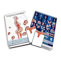 Blue Tree Publishing Pregnancy and Anatomy Flip Charts and Stick Note Set