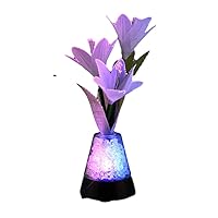 Fiber Optic Flowers with Light Up Gemstones Centerpiece USB - Slow Color Morphing Lighting Effect - Acryllic - 1 Unit - 10