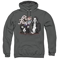 Popfunk Classic Pink Floyd Pink Floyd In Triangle Unisex Adult Pull-Over Hoodie