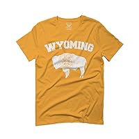 0569. Vintage Wyoming Retro Pride Flag Arch wy for Men T Shirt