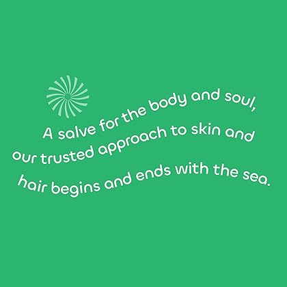 Seaweed Bath Co. Detox Body Scrub, Rosemary Mint Scent, 6 Ounce, Sustainably Harvested Seaweed, French Sea Clay, Coffee Extract