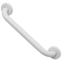 Stainless Steel Bath and Shower Straight Grab Bar-Concealed Mounting Snap Flange-1 Diameter x 11.8 Length White