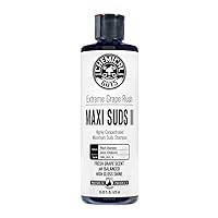 Chemical Guys CWS_1010_16 Maxi-Suds II Foaming Car Wash Soap (Works with Foam Cannons, Foam Guns or Bucket Washes) Safe for Cars, Trucks, Motorcycles, RVs & More, 16 fl. Oz, Grape Scent