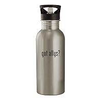 got allys? - 20oz Stainless Steel Water Bottle, Silver