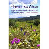 The Healing Power of Flowers: Bridging Herbalism, Homeopathy, Flower Essences, and the Human Energy System The Healing Power of Flowers: Bridging Herbalism, Homeopathy, Flower Essences, and the Human Energy System Paperback Kindle