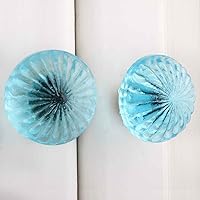 IndianShelf 2 Piece Clear Flower Glass Luxury Drawer Knobs for Kitchen Cabinet Hardware Door Pulls Decorative Dresser Room Décor