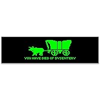 You Have Died of Dysentery Sticker Decal Notebook Car Laptop 11