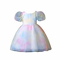 Bubble Sleeve Bow Mesh Colorful Princess Dresses Girls Clothes 6M to 3Y Baby Girl Dresses 3 Months