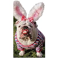 Bulldog With Bunny Teeth Little Big Funny Humorous Die Cut Dog Easter Card