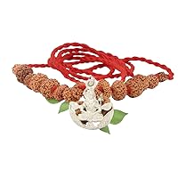 Vedic Vaani Nilkanth Mahadev Siddha Mala 1-14 Mukhi Rudraksha Indonesian Beads (1 Pcs)