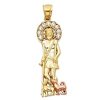 14k Yellow Gold and White Gold CZ Cubic Zirconia Simulated Diamond San Lazaro Pendant Necklace 10x31mm Jewelry Gifts for Women