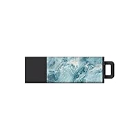 Centon S0-U2T27-8G Electronics USB 2.0 Datastick Pro2 (Marble-Aqua), 8GB