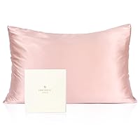 Silk Pillowcase for Hair and Skin - 600 Thread Count 100% Mulberry Silk Bed Pillowcase with Hidden Zipper, Queen Size Pillow Case Blush Pink