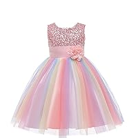 Little Girl's Sequin Sleeveless Mesh Rainbow Dress for Wedding Party