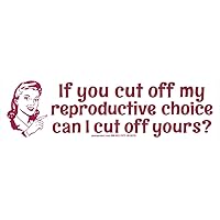 If You Cut Off My Reproductive Choice Pro-Choice Women Abortion Rights Large Car Bumper Sticker Laptop Decal 9.25-by-2.5 Inches