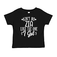 Ain't No Zia Like The One I Got Baby Bodysuit One Piece Or Toddler Shirt Cute Italian Aunt Gift
