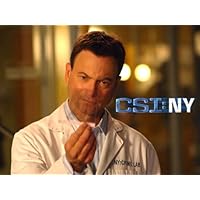CSI: NY, Season 06