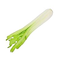BESTOYARD Simulated Celery Artificial Celery with Leaves Celery Model Artificial Celery Decor Vegetables Leaf Artificial Fruits Celery Decorative Lifelike Vegetables Omatome Fake Dish Photo