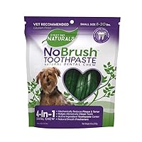 Every Day Naturals Dog Dental Chew, No Brush Toothpaste for Small Breeds, Freshens Breath, Unique Texture Helps Reduce Plaque & Tartar, 10 oz, 1 Pack