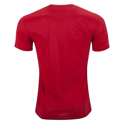 Nike Mens Team Legend Short Sleeve Crew T-Shirt (as1, Alpha, l, Regular, Regular, Red)
